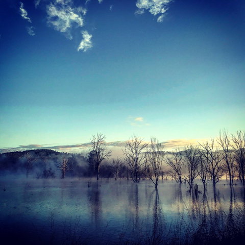 Scenic Rim Ultra - Sunshine Coast Tourism 0