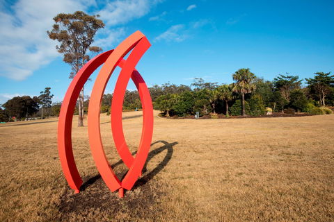 Sculpture For Clyde - Sunshine Coast Tourism 0