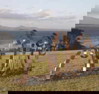 Sculpture Bermagui - Sunshine Coast Tourism