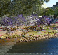 Shoalhaven River Festival - Sunshine Coast Tourism