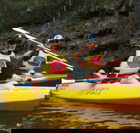 Social Kayaking Session - Sunshine Coast Tourism