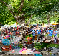 Stirling Laneways - Sunshine Coast Tourism