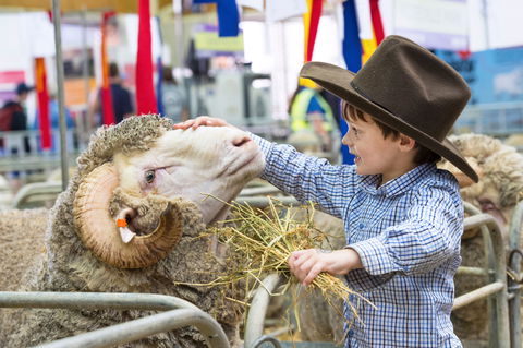 Sydney Royal Easter Show - Sunshine Coast Tourism 0