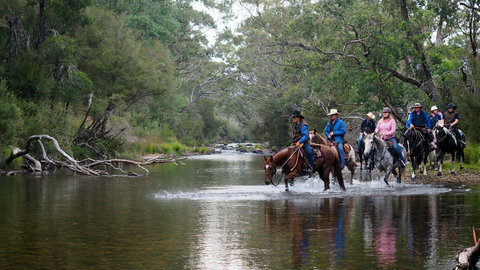 The Man From Snowy River Bush Festival - Holiday Sunshine Coast 0