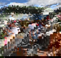 The Christmas Fair Mount Penang Gardens Kariong - Sunshine Coast Tourism