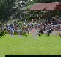Tumut Boxing Day Races - Sunshine Coast Tourism