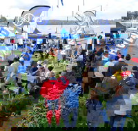 Twin Rivers Bream Classic - Sunshine Coast Tourism