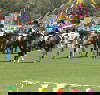 Wangaratta Show - Sunshine Coast Tourism