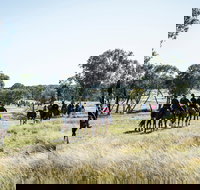 Weddin Mountain Muster - Sunshine Coast Tourism