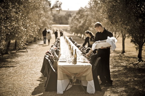Whispering Brook Olive Long Table Luncheon - Sunshine Coast Tourism 1