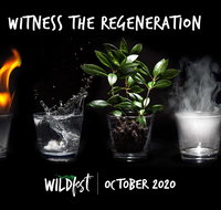 Wildfest - Annual Festival - Sunshine Coast Tourism