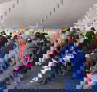 Wildflower Art and Garden Festival - Sunshine Coast Tourism