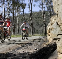 Wollombi Wild Ride Mountain Bike Ride - Sunshine Coast Tourism
