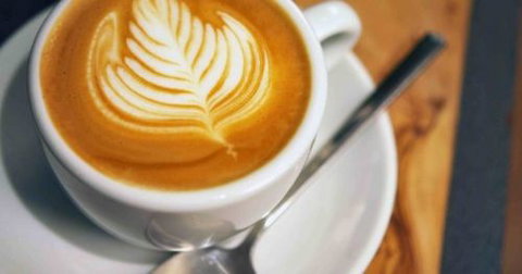 A Wild Night Out - Spring - Holiday Sunshine Coast 3