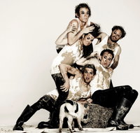 Animal Farm - Launceston - Holiday Sunshine Coast