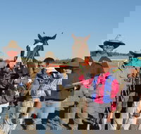 Annual Prairie Races - Sunshine Coast Tourism