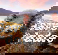 Art Group Longford - Sunshine Coast Tourism