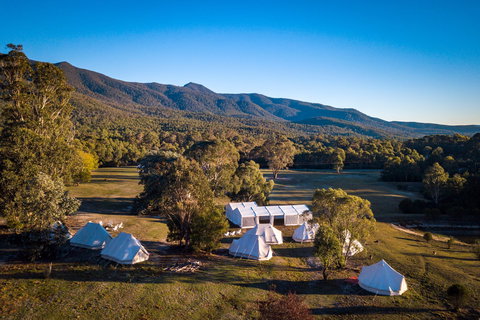 A Wild Night Out - Spring - Holiday Sunshine Coast 5