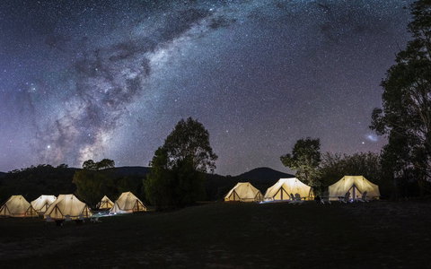 A Wild Night Out - Spring - Holiday Sunshine Coast 6