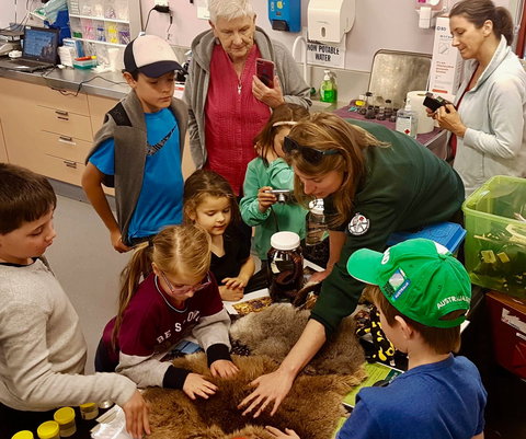 A Wild Night Out - Spring - Holiday Sunshine Coast 7