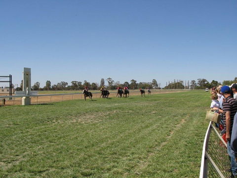 Balranald Races -Derby Day - Sunshine Coast Tourism 0