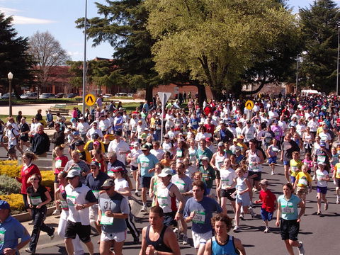 Bathurst Edgell Jog - Holiday Sunshine Coast 0