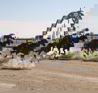 Bedourie Races and Rodeo - Sunshine Coast Tourism