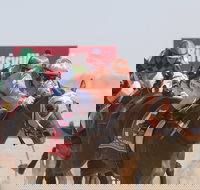 Birdsville Races - Sunshine Coast Tourism