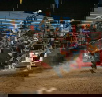 Black Opal Bull and Bronc Ride - Holiday Sunshine Coast