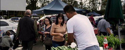 Blacktown Markets - Sunshine Coast Tourism 0