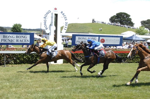 Bong Bong Picnic Races - Holiday Sunshine Coast 0