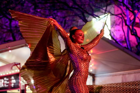 Brisbane Festival - Holiday Sunshine Coast 0