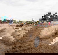 Broulee New Year's Eve Sandcastles and Sculptures - Sunshine Coast Tourism