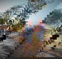 Cape Pallarenda Trail Run 2020 - Sunshine Coast Tourism