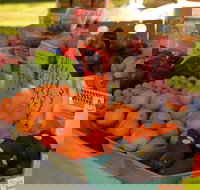 Centenary Park Charity Markets - Holiday Sunshine Coast