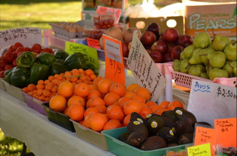 Centenary Park Charity Markets - Holiday Sunshine Coast 0