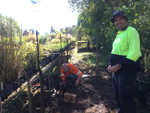 Conservation Volunteers Australia Townsville - Ocean View Nursery - Holiday Sunshine Coast 1