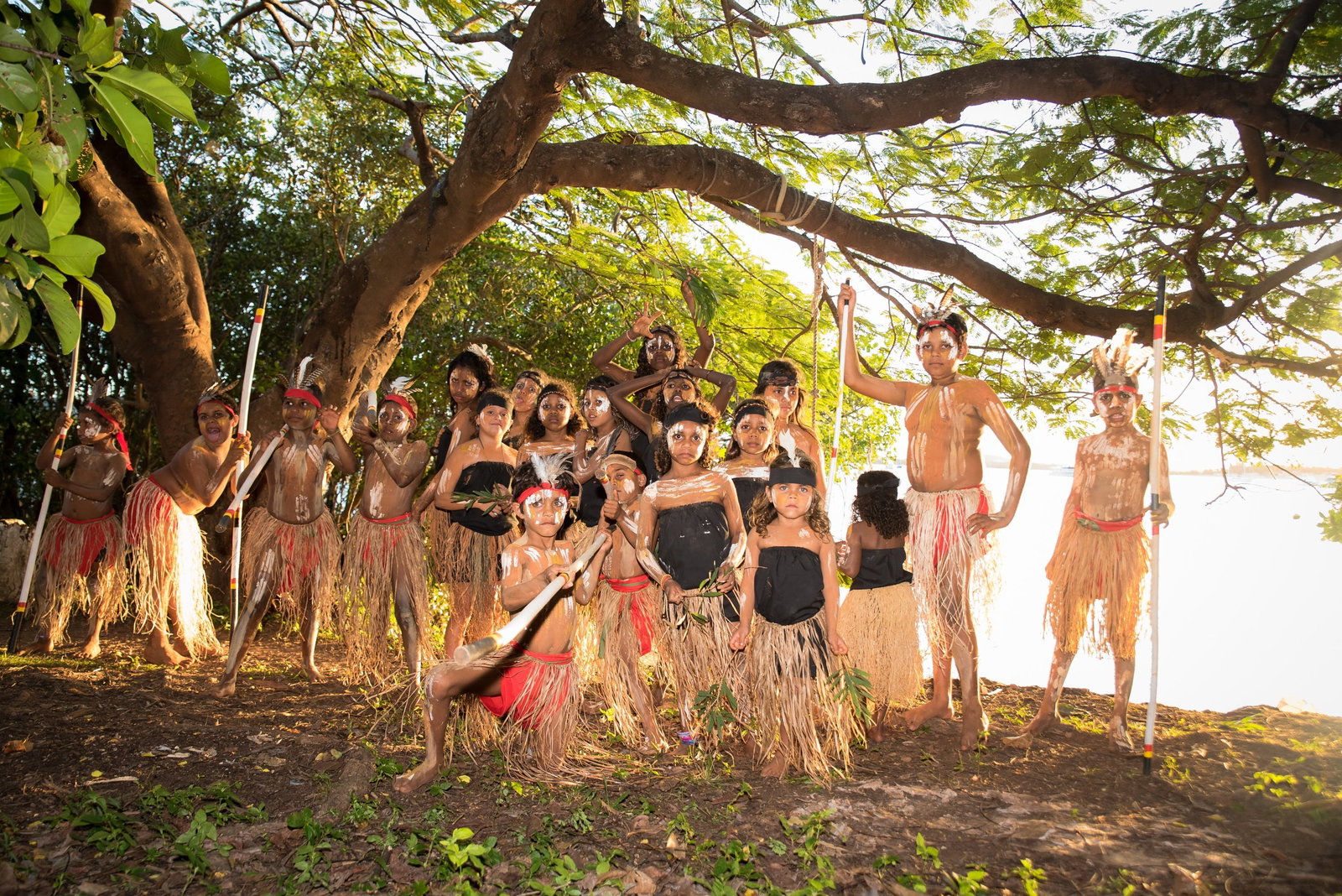 Bloomfield QLD Sunshine Coast Tourism