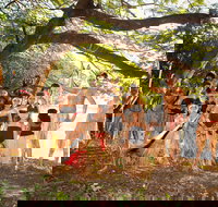 Cooktown and Cape York Expo 2021 - Sunshine Coast Tourism