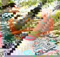 Coonabarabran Townlife Markets - Sunshine Coast Tourism