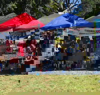 Dogs in the Park Shell Harbour - Sunshine Coast Tourism