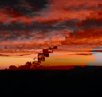 Father's Day at Cottontail Wines - Sunshine Coast Tourism