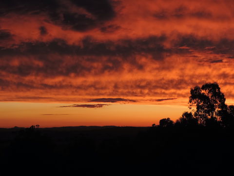 Father's Day At Cottontail Wines - Sunshine Coast Tourism 0