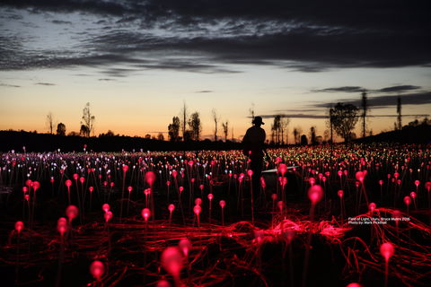 Field Of Light Uluru - Sunshine Coast Tourism 0