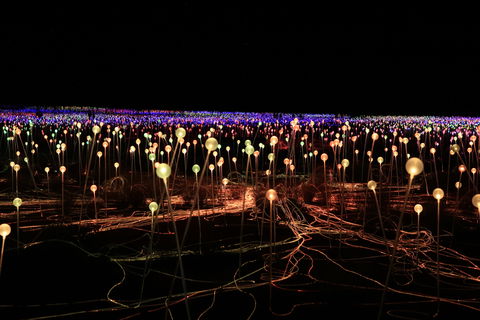 Field Of Light Uluru - Sunshine Coast Tourism 1