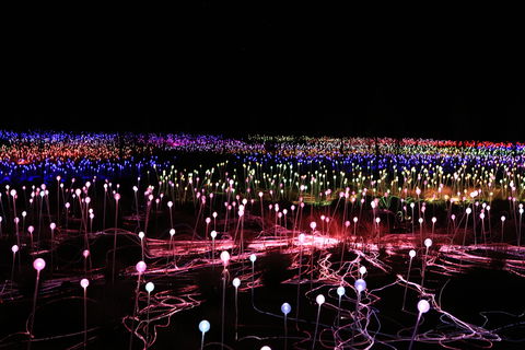 Field Of Light Uluru - Sunshine Coast Tourism 2