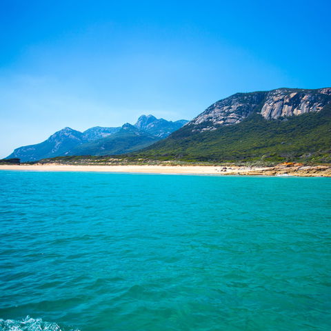 Flinders Island Lions Club Fishing Competition - Sunshine Coast Tourism 1
