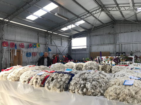 Flinders Island Show - Sunshine Coast Tourism 2