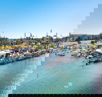 Fred Williams Aquatic Festival - Holiday Sunshine Coast