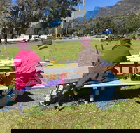 Grampians Brushes - Sunshine Coast Tourism